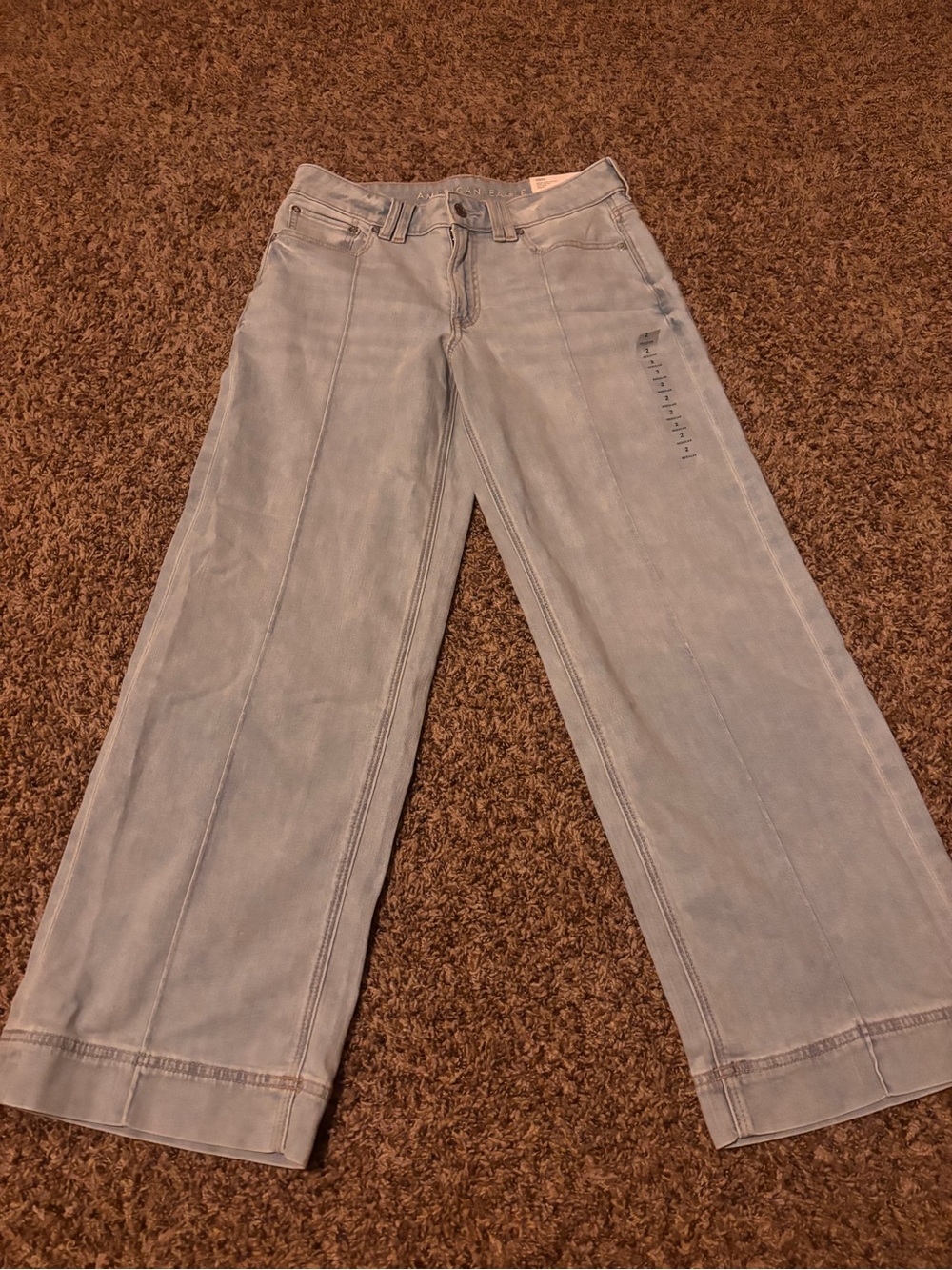 American Eagle Outfitters Light Blue Wide Leg Jeans